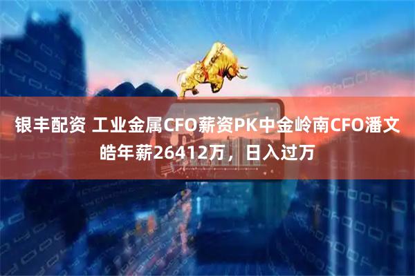 银丰配资 工业金属CFO薪资PK中金岭南CFO潘文皓年薪26412万，日入过万